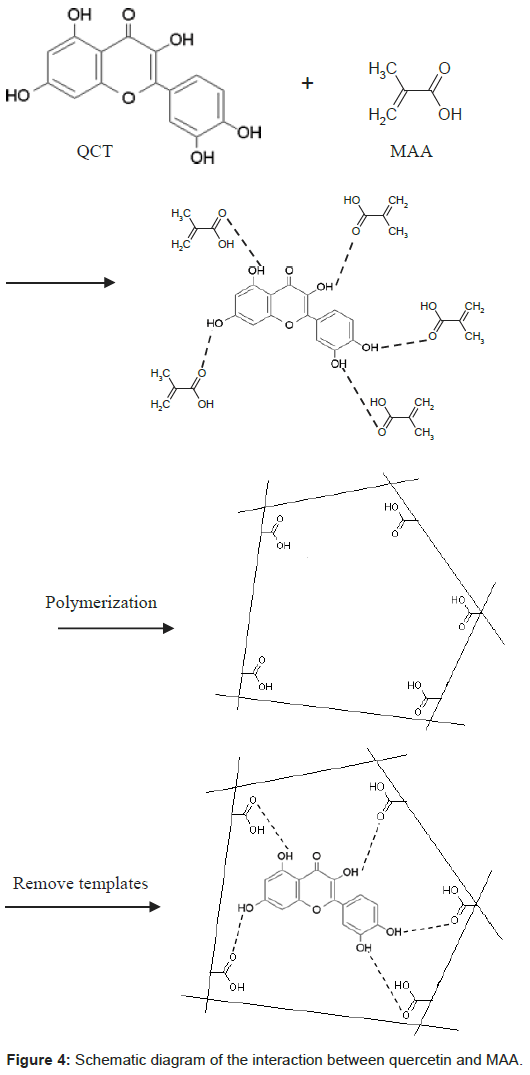 pharmaceutica-analytica-acta-Schematic-diagram-interaction