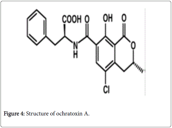 pharmaceutica-analytica-acta-Structure-ochratoxin-A