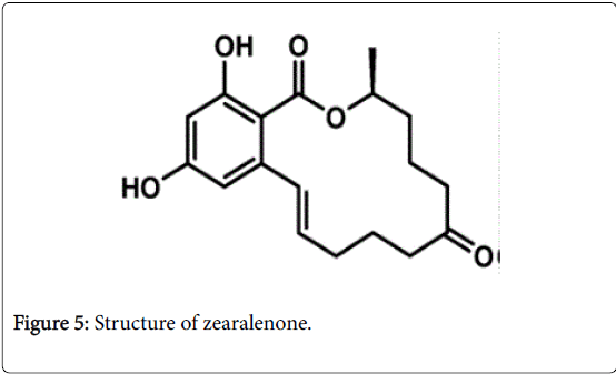 pharmaceutica-analytica-acta-Structure-zearalenone