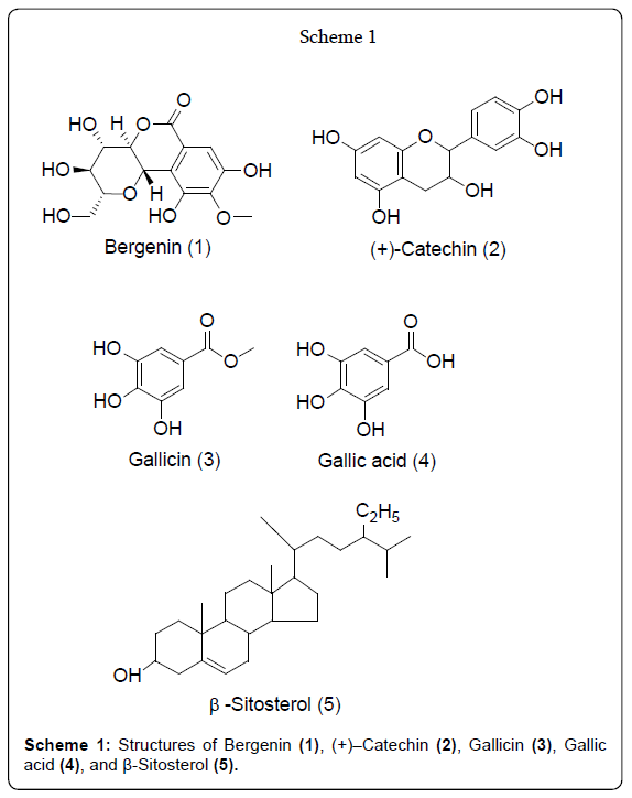 pharmaceutica-analytica-acta-Structures-Bergenin