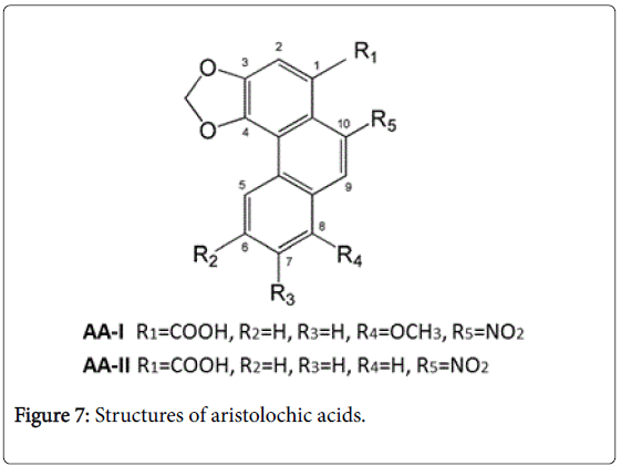 pharmaceutica-analytica-acta-Structures-aristolochic-acids