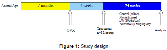 pharmaceutica-analytica-acta-Study-design