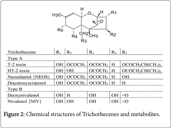 pharmaceutica-analytica-acta-Trichothecenes-metabolites