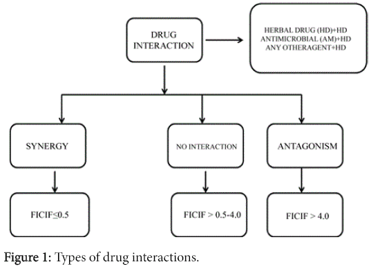 pharmaceutica-analytica-acta-Types-drug-interactions