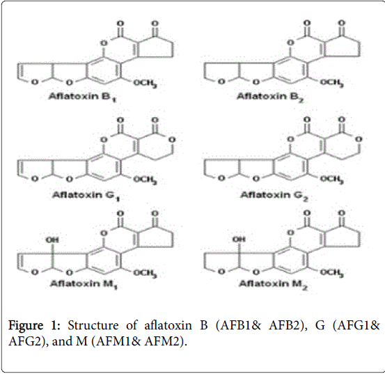 pharmaceutica-analytica-acta-aflatoxin-B