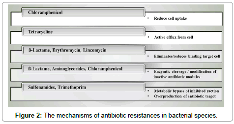 pharmaceutica-analytica-acta-antibiotic