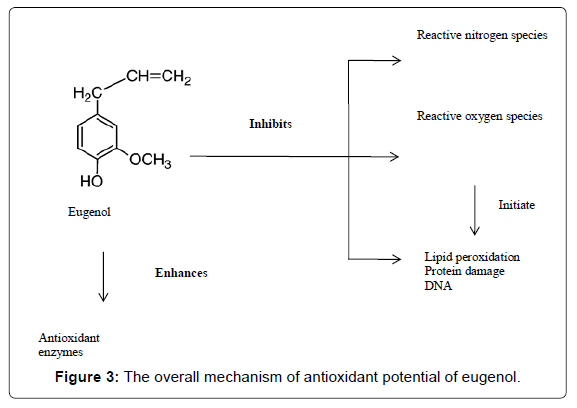 pharmaceutica-analytica-acta-antioxidant-potential