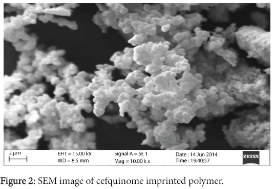 pharmaceutica-analytica-acta-cefquinome-imprinted-polymer