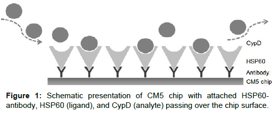 pharmaceutica-analytica-acta-chip-surface