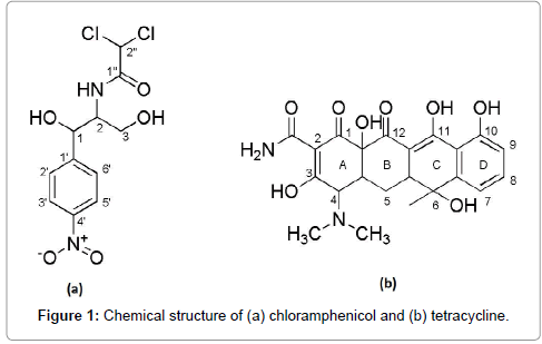 pharmaceutica-analytica-acta-chloramphenicol
