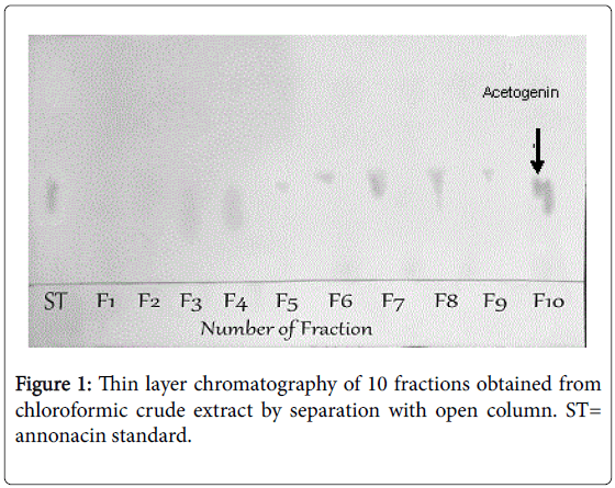 pharmaceutica-analytica-acta-chromatography-10-fractions