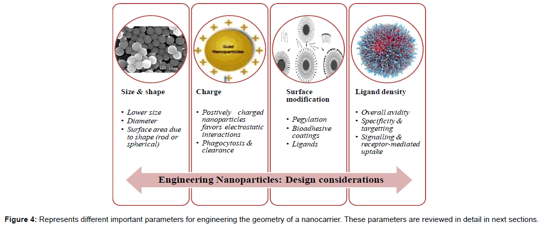 pharmaceutica-analytica-acta-engineering-geometry-nanocarrier