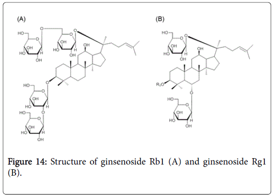 pharmaceutica-analytica-acta-ginsenoside-Rb1-ginsenoside