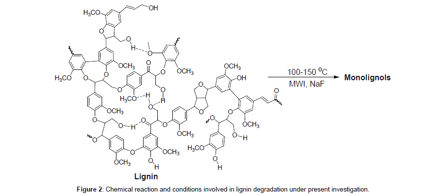 pharmaceutica-analytica-acta-lignin