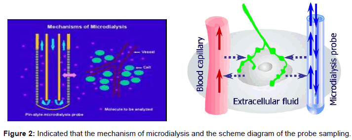pharmaceutica-analytica-acta-mechanism-microdialysis