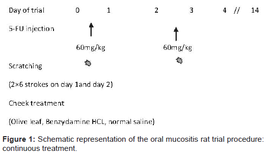 pharmaceutica-analytica-acta-oral-mucositis-rat
