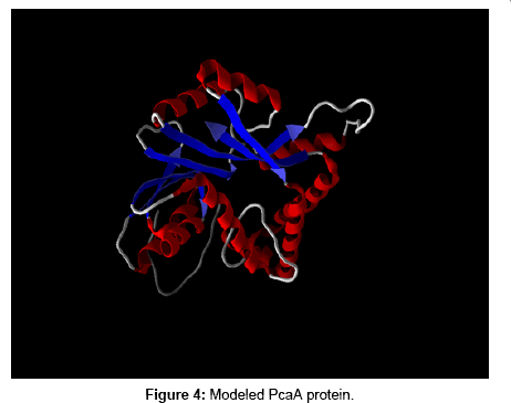 pharmaceutica-analytica-acta-protein