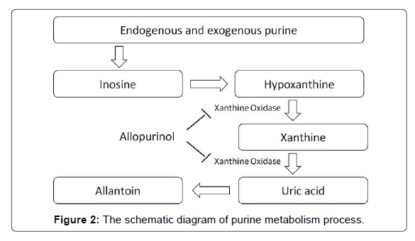pharmaceutica-analytica-acta-purine-metabolism