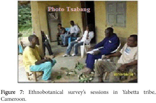 pharmaceutica-analytica-acta-sessions-Yabetta-tribe