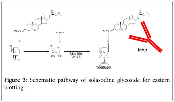 pharmaceutica-analytica-acta-solasodine-glycoside