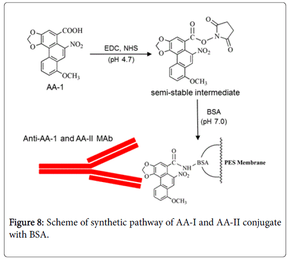 pharmaceutica-analytica-acta-synthetic-pathway-AA