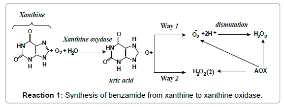 pharmaceutica-analytica-acta-xanthine-oxidase