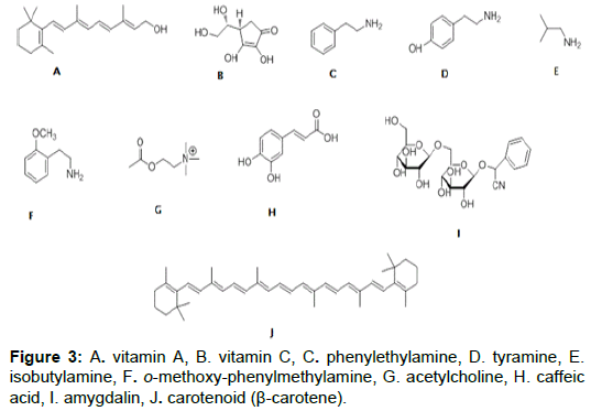 pharmacogenomics-pharmacoproteomics-phenylethylamine-tyramine