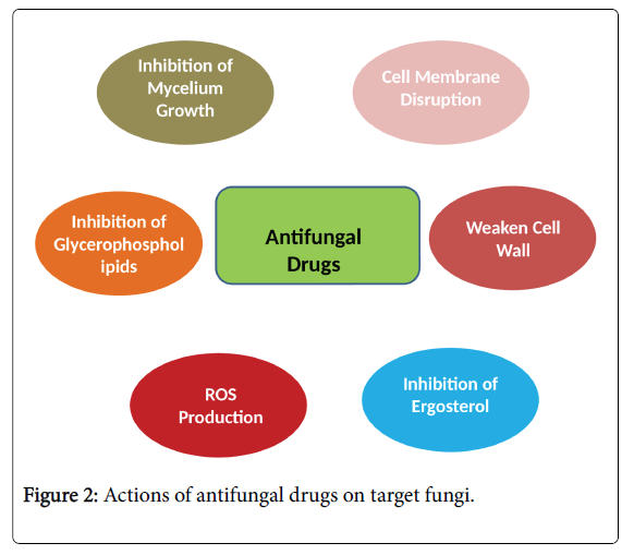 pharmacogenomics-pharmacoproteomics-target-fungi