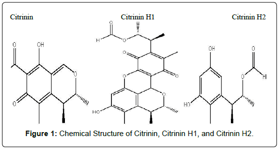plant-pathology-microbiology-Chemical-Structure-Citrinin