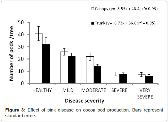 plant-pathology-microbiology-Effect-pink-disease