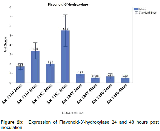 plant-pathology-microbiology-Flavonoid-hydroxylase