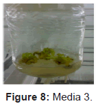 plant-pathology-microbiology-Media