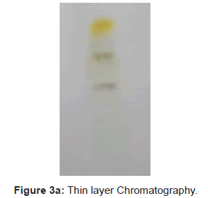 plant-pathology-microbiology-Thin-layer-Chromatography