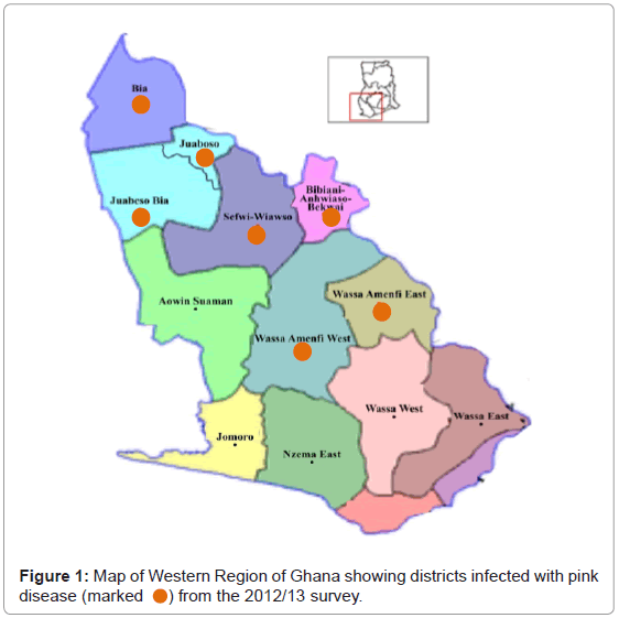 plant-pathology-microbiology-Western-Region-Ghana