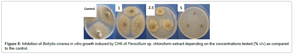 plant-pathology-microbiology-chloroform