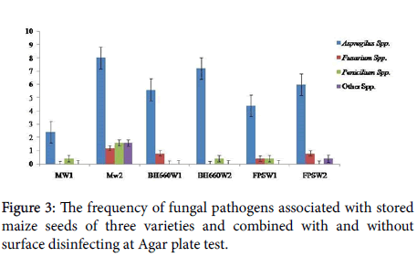 plant-pathology-microbiology-fungal-pathogens