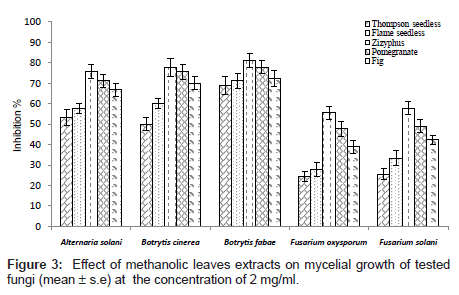 plant-pathology-microbiology-mycelial-growth