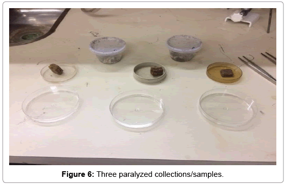plant-pathology-microbiology-paralyzed-collections