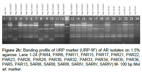 plant-pathology-microbiology-profile-URP-marker
