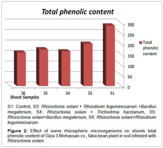 plant-pathology-microbiology-rhizospheric-phenolic-Mohassan