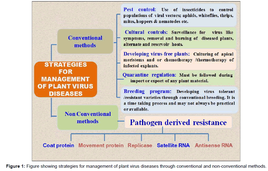 plant-pathology-microbiology-showing-strategies-management