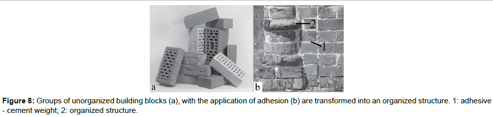 single-cell-biology-adhesive-cement-weight