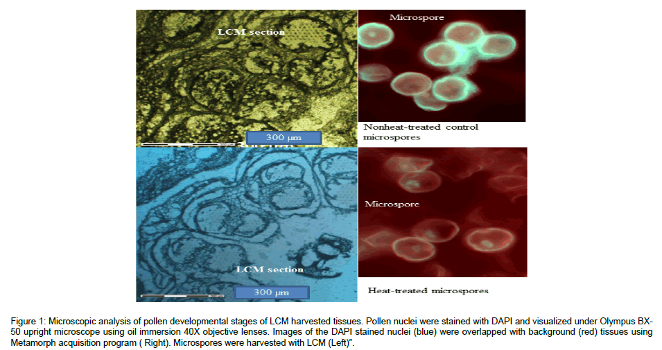 single-cell-biology-analysis-pollen