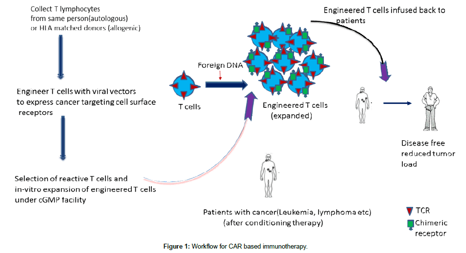 single-cell-biology-immunotherapy