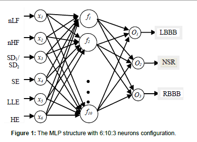 swarm-intelligence-evolutionary-neurons-configuration