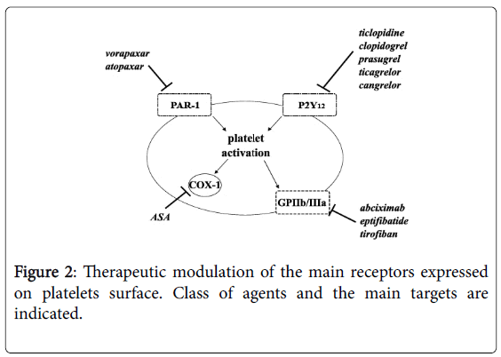 thrombosis-circulation-Therapeutic-modulation