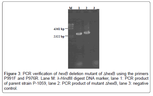 vaccines-vaccination-PCR-verification