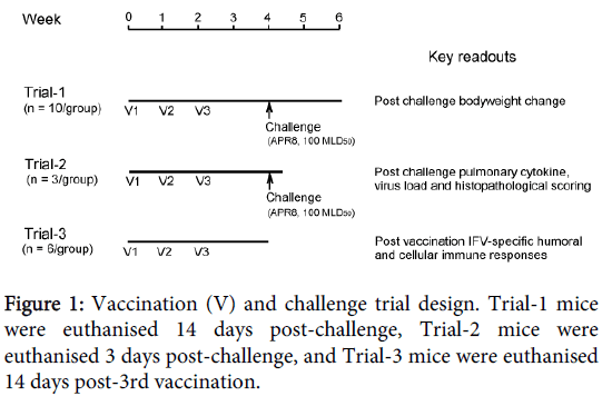 vaccines-vaccination-challenge-trial-design
