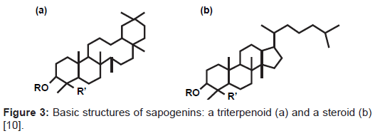 vaccines-vaccination-structures-sapogenins