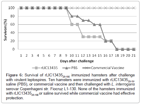 vaccines-vaccination-virulent-leptospires